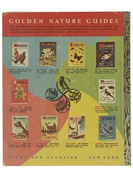 Little Black Sambo: A Little Golden Book