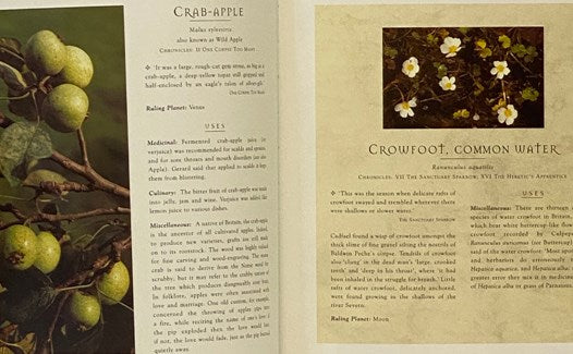 Brother Cadfael's Herb Garden: An Illustrated Companion to Medieval Plants and Their Uses