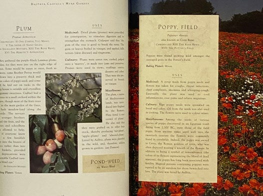 Brother Cadfael's Herb Garden: An Illustrated Companion to Medieval Plants and Their Uses