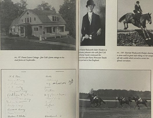 Genesee Valley: 'Land of the Blue Grass Sod', Volume One [1]