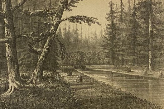 The American Beaver and His Works.