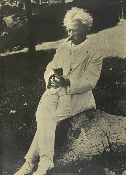 The Indispensable Cat