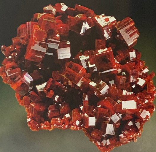 Nature's Garden of Crystals