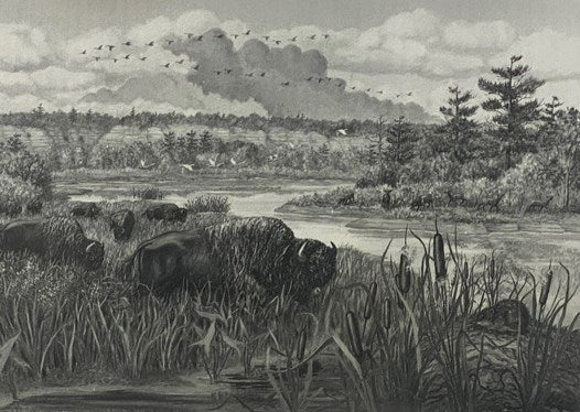 Records of Early Bison in Illinois (Illinois State Museum Scientific Papers, Vol. XXXI [Volume 31])