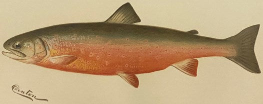 Second Annual Report of the Commissioners of Fisheries, Game and Forests of the State of New York.
