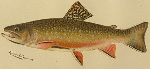 Second Annual Report of the Commissioners of Fisheries, Game and Forests of the State of New York.