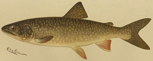 Second Annual Report of the Commissioners of Fisheries, Game and Forests of the State of New York.