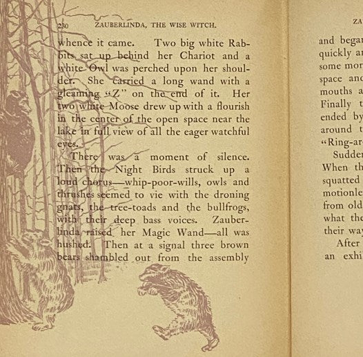 Zauberlinda: The Wise Witch