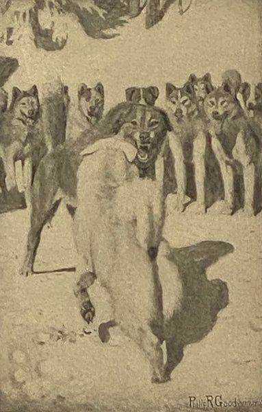 The Call of the Wild
