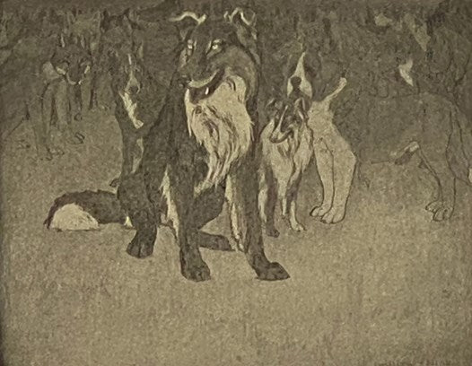 The Call of the Wild