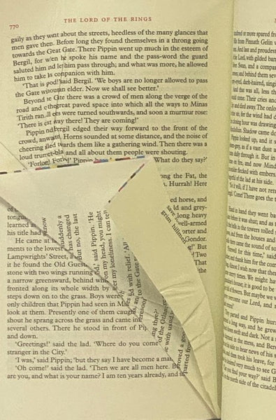 The Lord of the Rings: Illustrated by the Author (Tolkien Illustrated Editions)