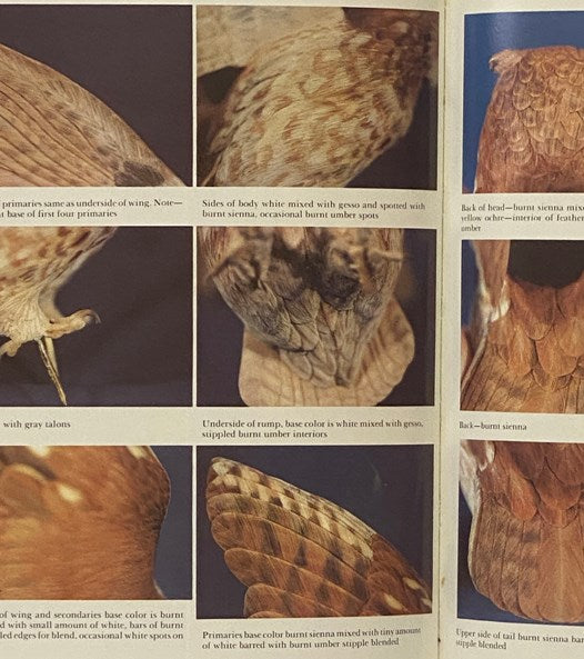 Birds of Prey: Blue Ribbon Techniques (Carving Projects)