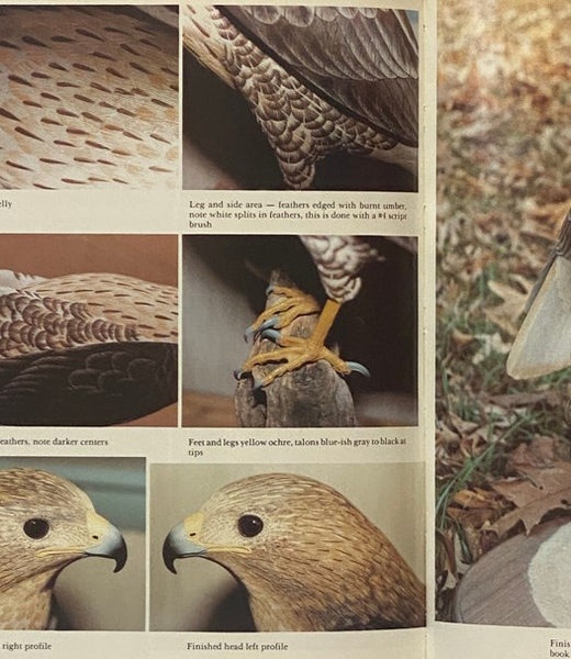 Birds of Prey: Blue Ribbon Techniques (Carving Projects)