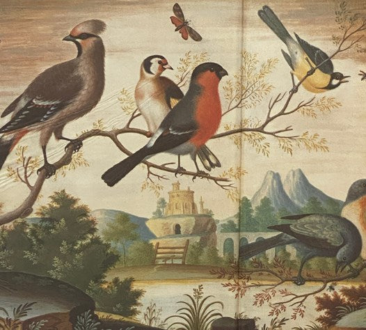 Bird Painting: The Eighteeth Century