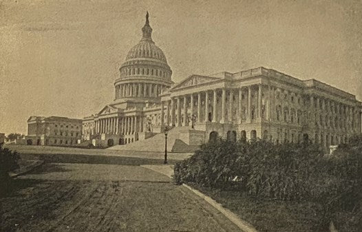 Great Leaders and National Issues of 1896; Containing the Lives of the Republican and Democratic Candidates for President and Vice-President, Biographical Sketches of the Leading Men of All Parties, the Story of Famous Campaigns of the Past, History of P…