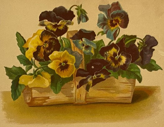 Flowers from Hill and Dale: Poems Arranged and Illustrated