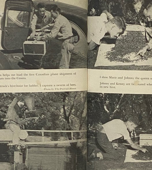 Bees Are My Business [A Fascinating Picture of the Romance and Science of Beekeeping]