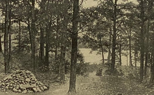 Walden; or, Life in the Woods (The Riverside Library)