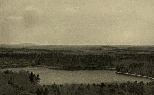 Walden; or, Life in the Woods (The Riverside Library)