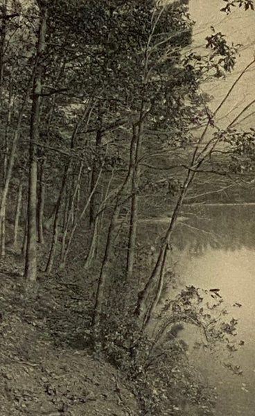 Walden; or, Life in the Woods (The Riverside Library)