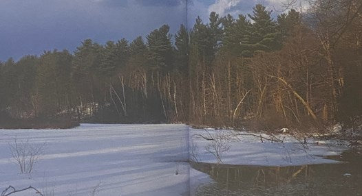 Walden [or, Life in the Woods]: The 150th Anniversary Illustrated Edition
