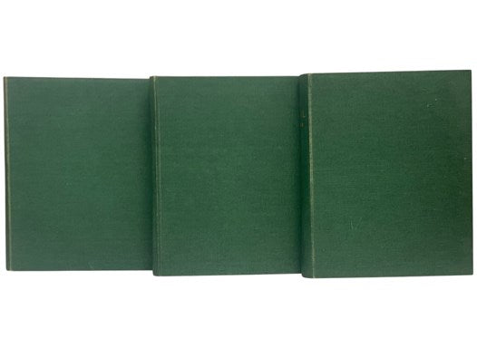 Dictionary of the Irish Language, Based Mainly on Old and Middle Irish Materials, in Three Volumes: A-D; E-L; M-U [DIL]