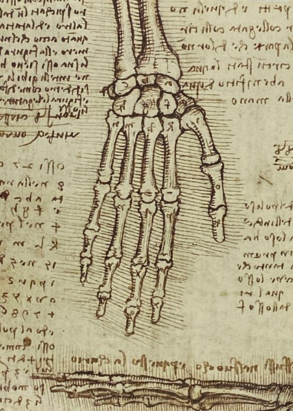 Leonardo da Vinci, 1452-1519: The Complete Paintings and Drawings