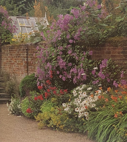 Ramblers Scramblers & Twiners: High-performance Climbing Plants & Wall Shrubs