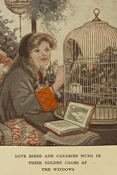 The Birds' Christmas Carol
