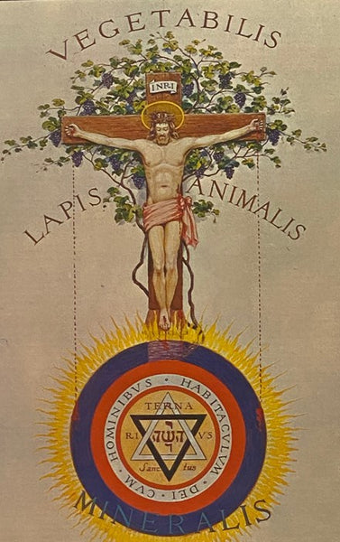 Secret Teachings of All Ages: An Encyclopedic Outline of Masonic, Hermetic, Qabbalistic and Roscrucian Symbolical Philosophy, Being an Interpretation of the Secret Teachings Concealed within the Rituals, Allegories and Mysteries of All Ages -- 16th Ed.