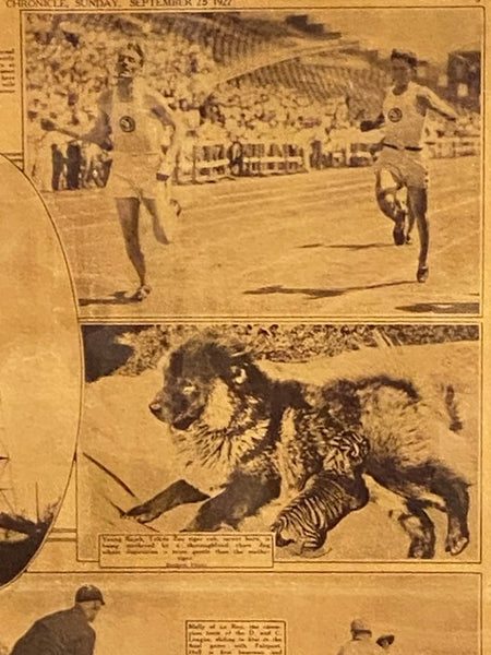 Framed Page from Rochester Democrat & Chronicle, Sunday, September 25, 1927