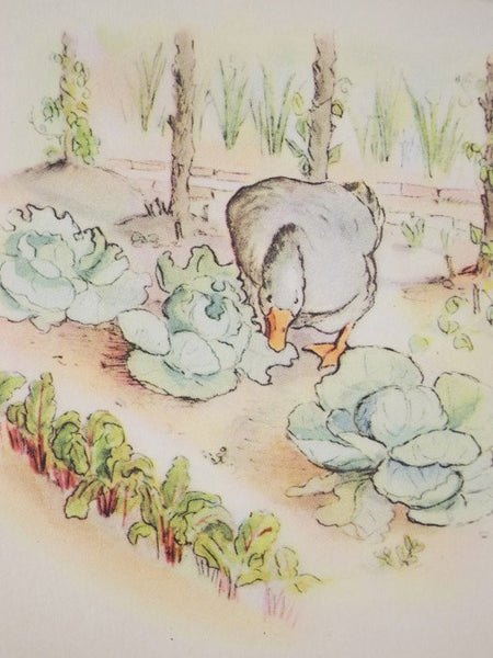 Alexander the Gander