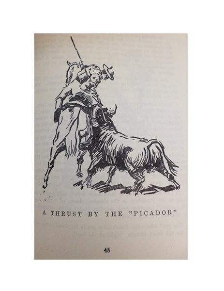 Toros: English Edition