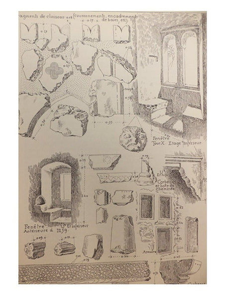 Chillon Tome 1: La Camera Domini la Chambre des Comtes et des Ducs de Savoie