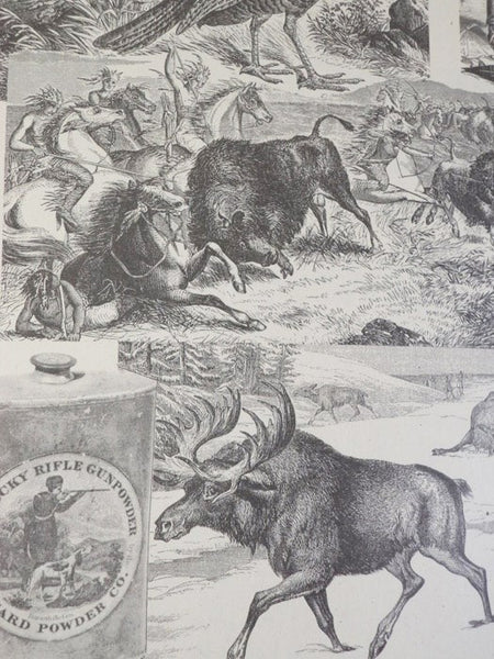 Pioneer America: Its First Three Centuries