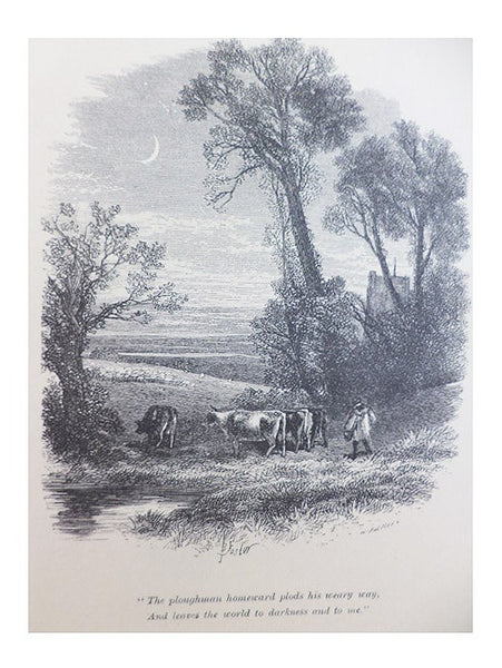 The Poetical Works of Thomas Gray