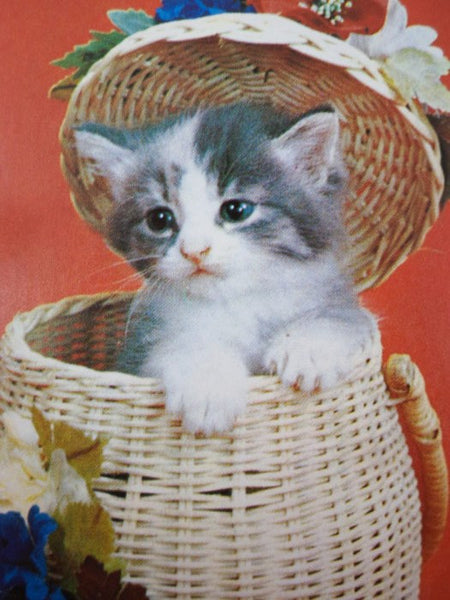 Chats