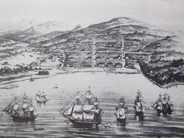 California: A Concise History, 1542-1939