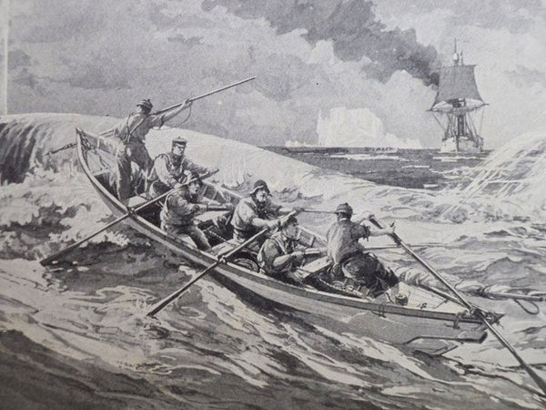 The Young Ice Whalers