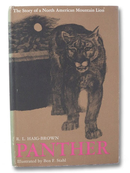 Panther: The Story of a North American Mountain Lion