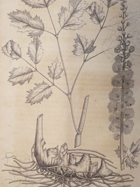 The Philadelphia Monthly Journal of Medicine and Surgery. Vol. I, No. 1, June 1827 - No. VI, November 1827 & Vol. II, No. 1, December 1827 - No. III, February 1828