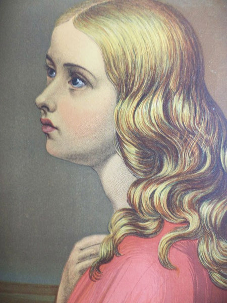 The Illustrated Family Bunyan -- Pilgrim's Progress, Holy War. and Grace Abounding. with an Introductory Essay on the Life, Writings, and Genius of the Author, and a Series of Pilgrim Characters Taken from the Life (The Family Edition)