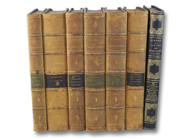 Species General et Iconographie des Coquilles Vivantes, Comprenant la collection du Museum d'Histoire naturelle de Paris, La Collection Lamarck, Celle du Prince Massena, (Appartenant maintenant a M. le baron Benjamin Delessert), et les Decouvertes Recent…