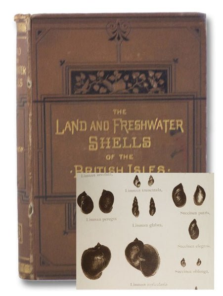 The Land and Freshwater Shells of the British Isles. With Illustrations of All the Species.