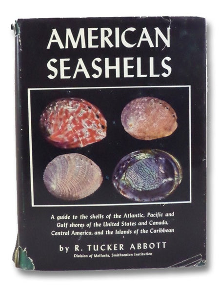 American Seashells (The New Illustrated Naturalist)