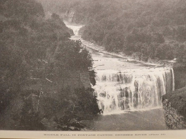 History of the Genesee Country (Western New York), in Four Volumes: Comprising the Counties of Allegany, Cattaraugus, Chautauqua, Chemung, Erie, Genesee, Livingston, Monroe, Niagara, Ontario, Orleans, Schuyler, Steuben, Wayne, Wyoming and Yates.