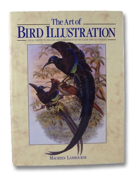 The Art of Bird Illustration