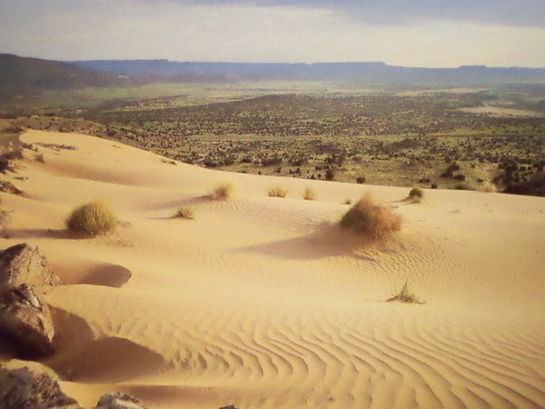 To the Inland Empire: Coronado and Our Spanish Legacy
