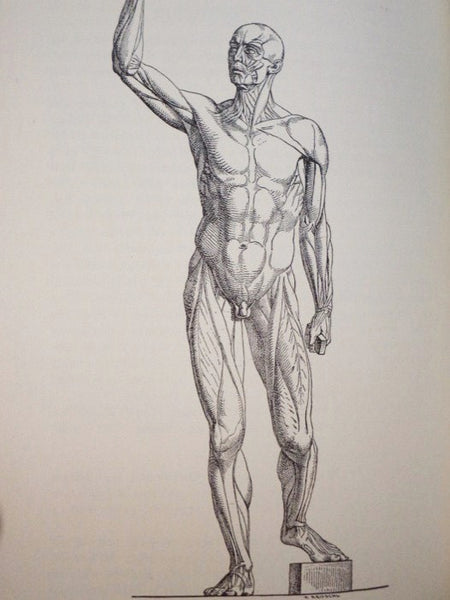 History and Bibliography of Anatomic Illustration in its Relation to Anatomic Science and the Graphic Arts, with a Biographical Sketch of the Translator and Two Additional Sections