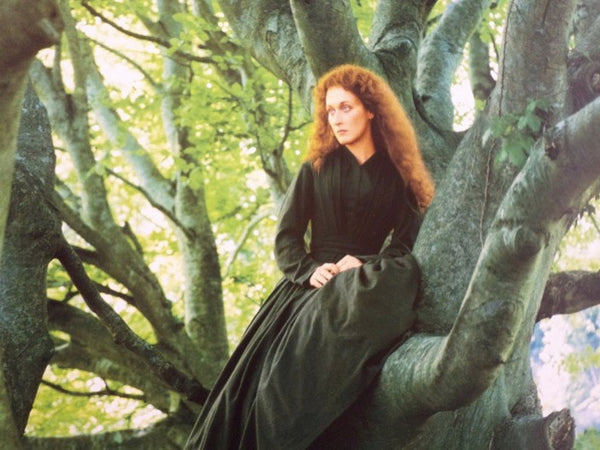Photographs by Snowdon: A Retrospective